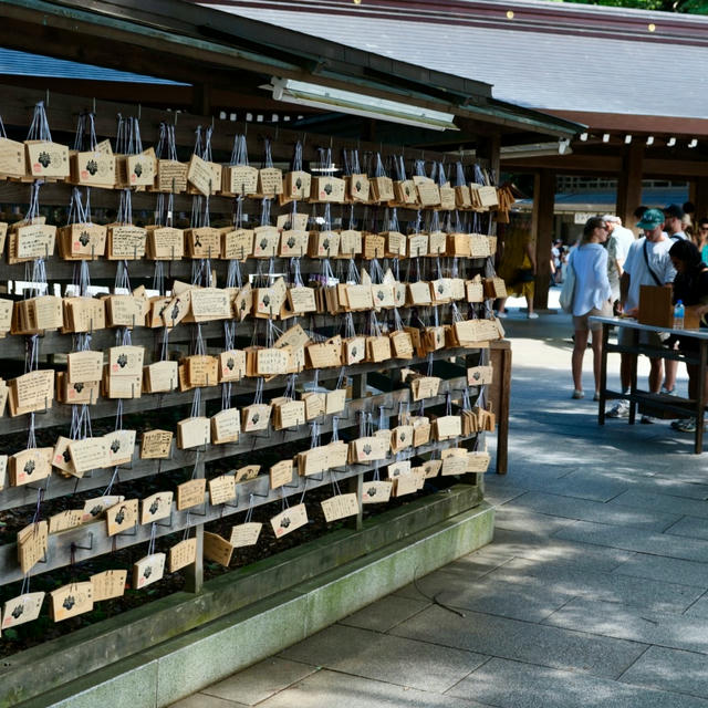 2024/09 Japan photo 2